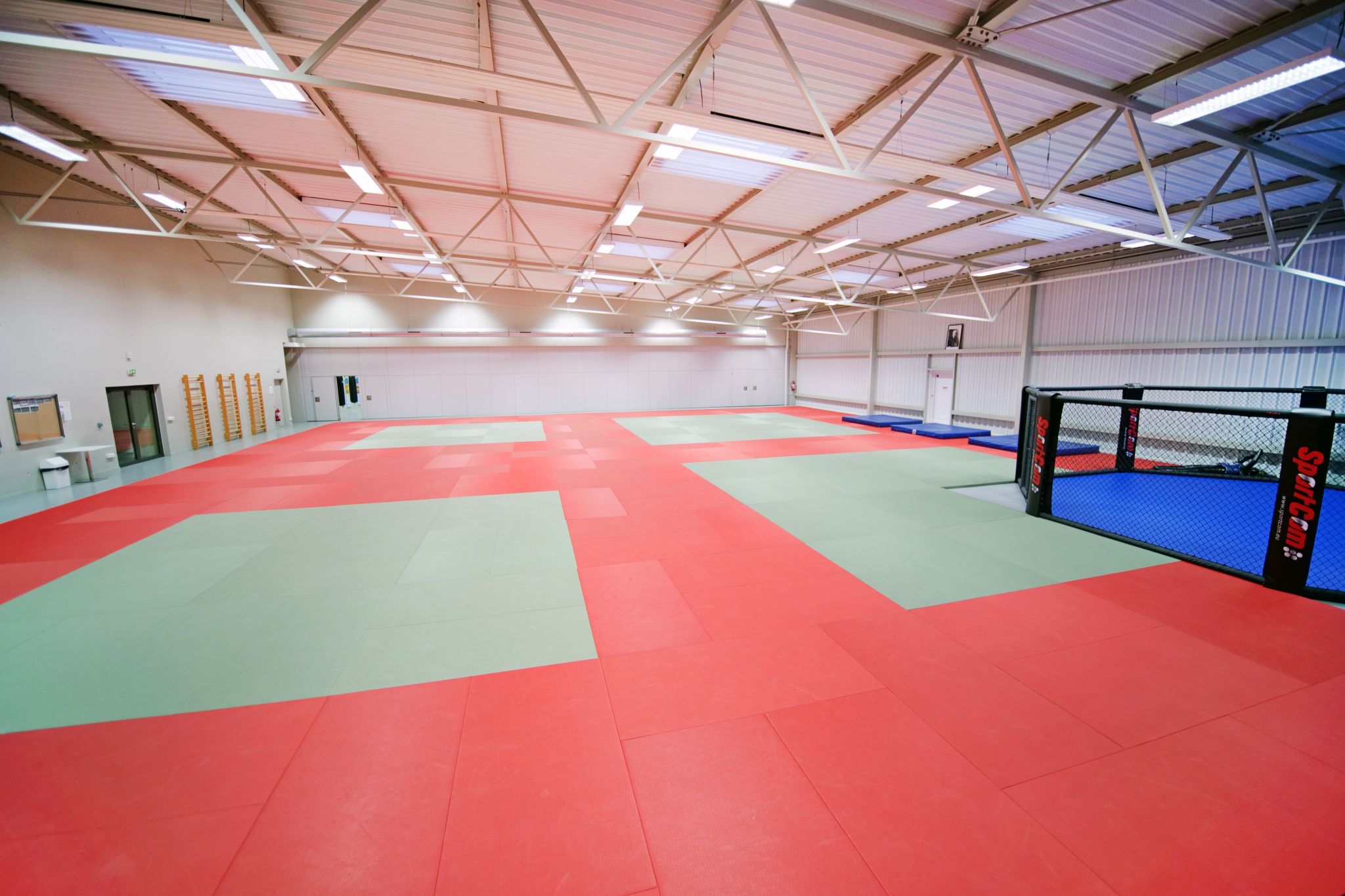 Illustration Programme